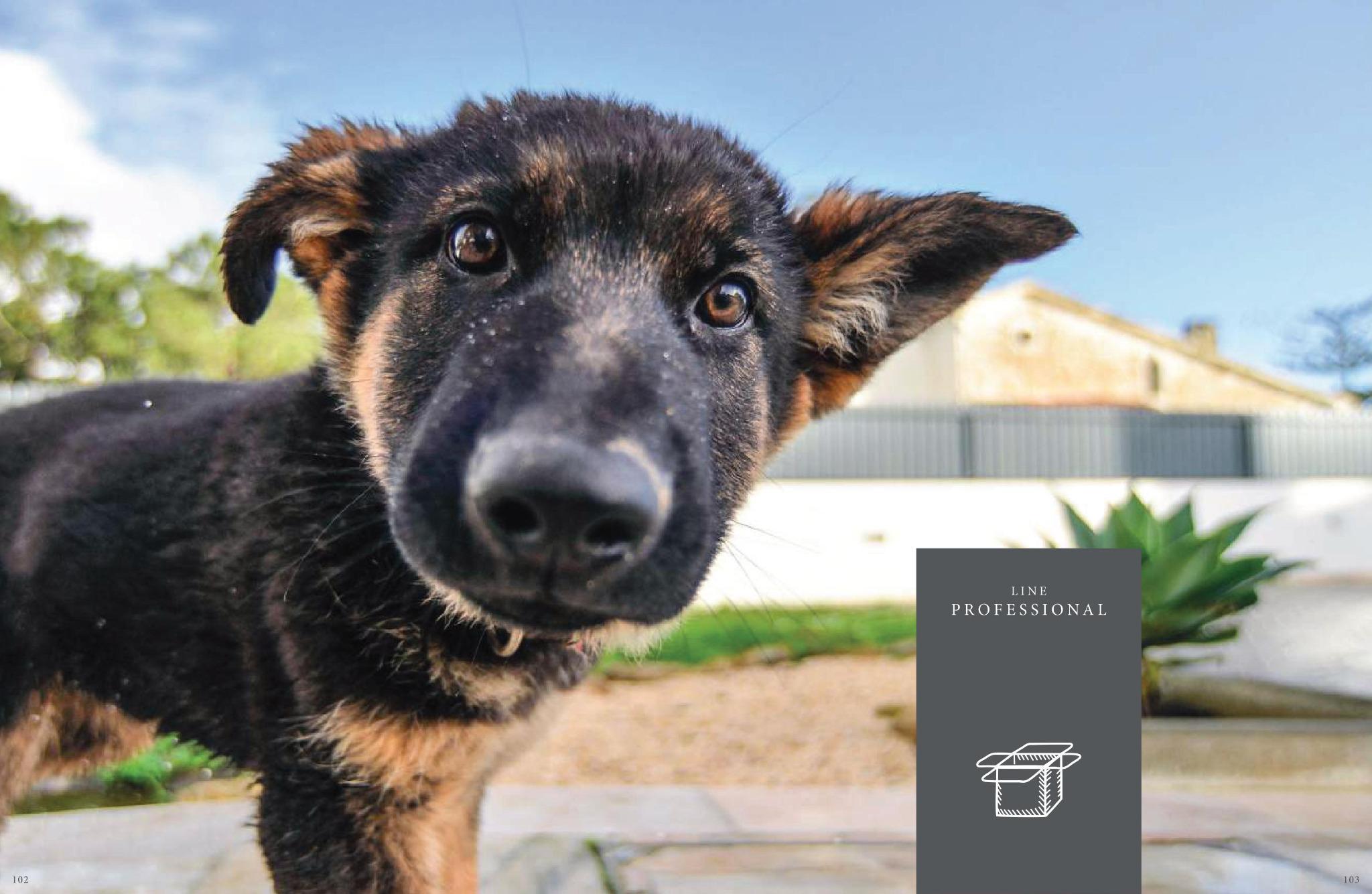 Professional Dog Shampoos & Conditioners