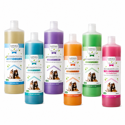 Rainbow Home Cleaning Bundle – Multi-Scent Floor Care