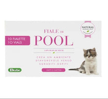 Cat flea and tick spot-on vial – 4ml