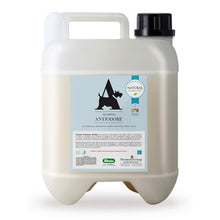 Koerashampoon deodoriseeriva tsitruse ja eukalüptiga